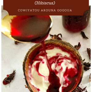 recettes bissap hibiscus